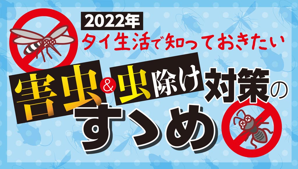 タイ生活で知っておきたい 害虫 虫除け対策のすゝめ ワイズデジタル タイで生活する人のための情報サイト