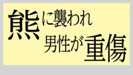 男性が熊に襲われ重傷　応戦して一命を取り留める - ワイズデジタル【タイで生活する人のための情報サイト】