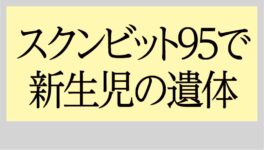 スクンビット95で新生児の遺体　警察が母親を特定 - ワイズデジタル【タイで生活する人のための情報サイト】