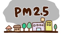 都内全体でPM2.5基準値越え　20日まで空気が淀む予想 - ワイズデジタル【タイで生活する人のための情報サイト】