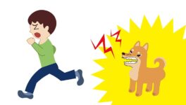 都内で狂犬病感染動物確認　都庁が半径5kmに警戒を呼びかけ - ワイズデジタル【タイで生活する人のための情報サイト】