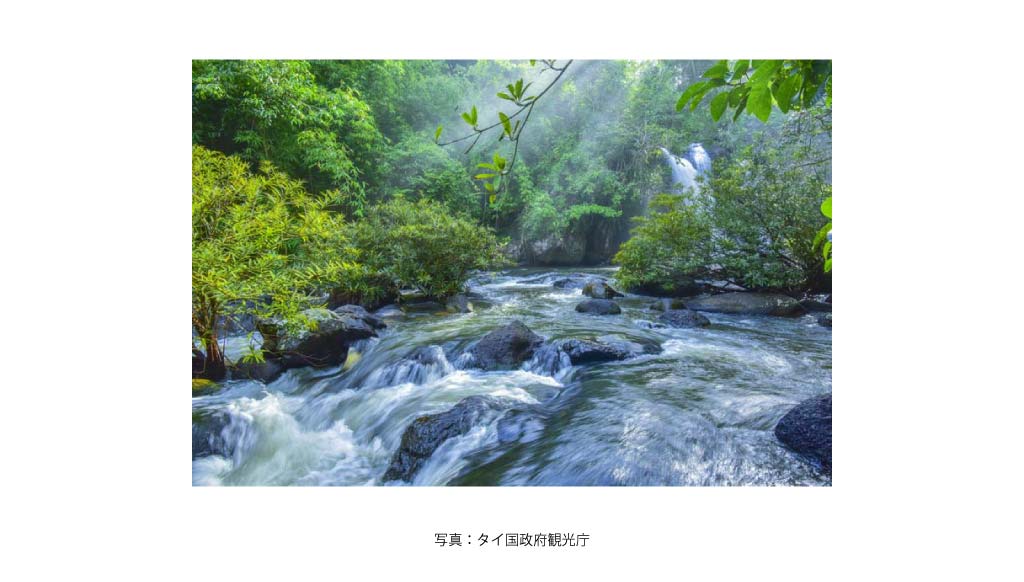 カオヤイ国立公園：ドン パヤーイェン カオヤイ森林群（自然遺産）