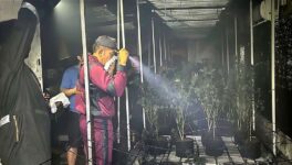 パタヤにある室内大麻栽培施設で火災が発生　煙が充満する中、住民たちからは笑みがこぼれていた… - ワイズデジタル【タイで生活する人のための情報サイト】