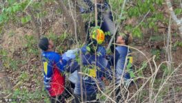 ラン島で日本人男性の遺体　首を吊った状態で発見される - ワイズデジタル【タイで生活する人のための情報サイト】